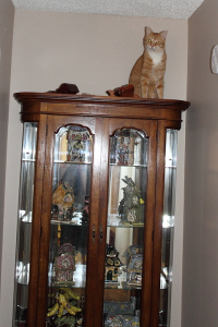 Bad Cat Chris on Curio Cabinet