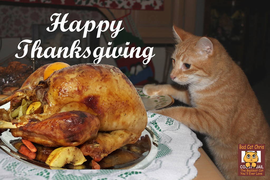 happy-thanksgiving.jpg
